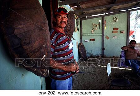 Turtle Fishermen in Building View Large Photo Image Stock Image - Turtle Fishermen in Building. Fotosearch