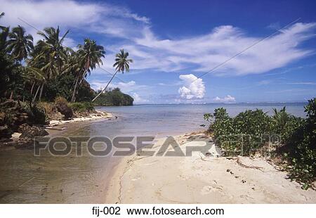 View of the Coral Coast Fiji View Large Photo Image Stock Image - View of the Coral Coast Fiji. Fotosearch