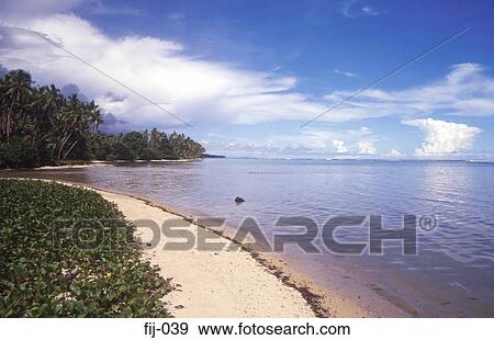 View of the Coral Coast Fiji View Large Photo Image Stock Photo - View of the Coral Coast Fiji. Fotosearch