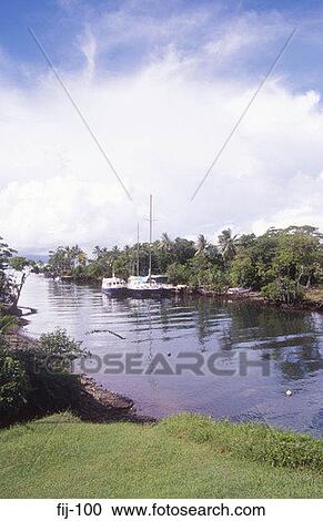 View of the Pacific Harbour Fiji View Large Photo Image Stock Image - View of the Pacific Harbour Fiji. Fotosearch
