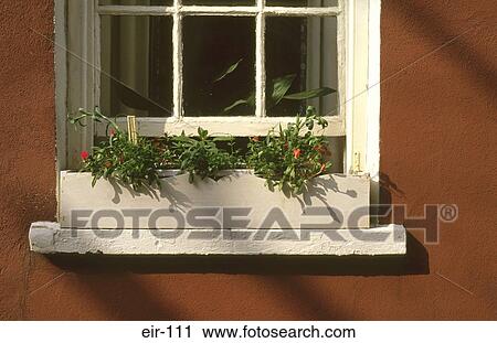Stock Image - Window Box County Kildare Ireland. Fotosearch