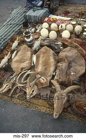 Stock Photo - Animal Skins Morocco. Fotosearch