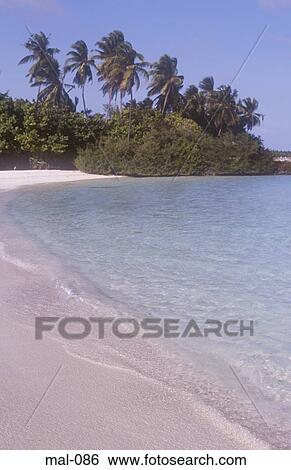 Beach Lhohifushi Maldives View Large Photo Image Stock Photograph - Beach Lhohifushi Maldives. Fotosearch