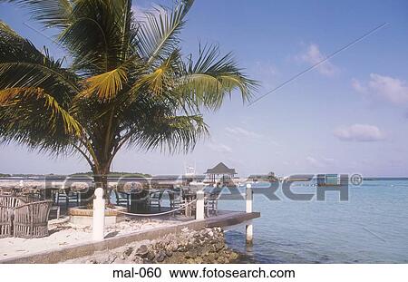 Beach Restaurant Lhohifushi Maldives View Large Photo Image Stock Image - Beach Restaurant Lhohifushi Maldives. Fotosearch