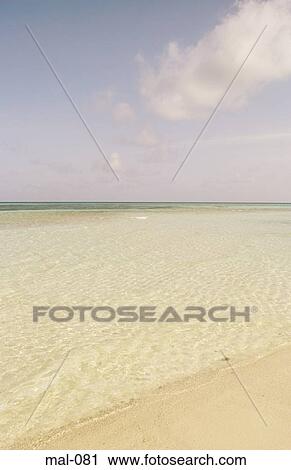 Beach Scene Lhohifushi Maldives View Large Photo Image Stock Image - Beach Scene Lhohifushi Maldives. Fotosearch