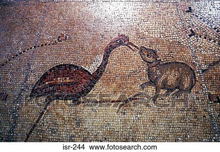 Bird Snake and Mammal on Mosaic Galilee Israel View Large Photo Image Picture - Bird Snake and Mammal on Mosaic Galilee Israel. Fotosearch