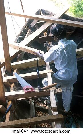 Boat Building Lhohifushi Maldives View Large Photo Image Stock Photo - Boat Building Lhohifushi Maldives. Fotosearch
