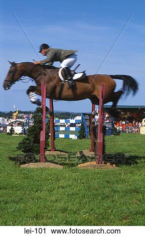 Stock Image - Brown Horse Show Jumping. Fotosearch