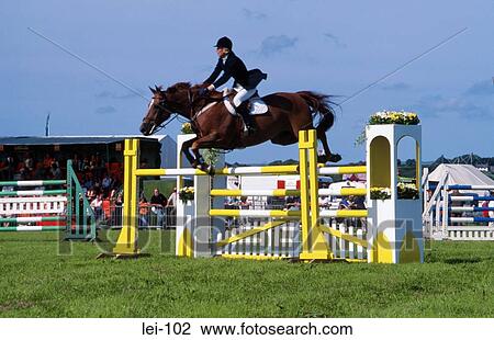 Stock Image - Brown Horse Show Jumping. Fotosearch