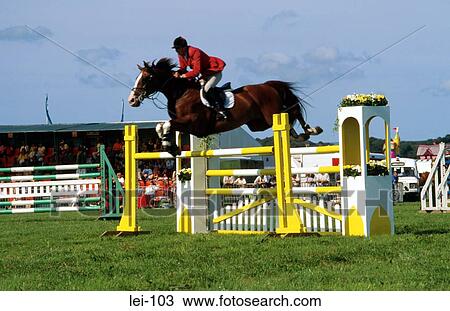 Brown Horse Show Jumping View Large Photo Image Stock Image - Brown Horse Show Jumping. Fotosearch