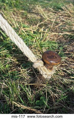 Close Up of Metal Tent Peg View Large Photo Image Stock Photo - Close Up of Metal Tent Peg. Fotosearch