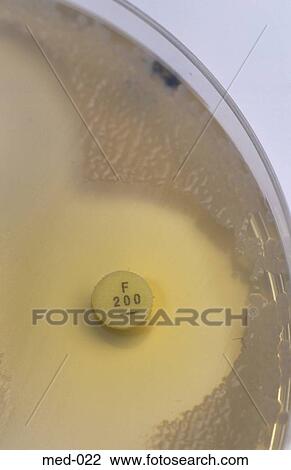 Close up of Petri Dish and Culture UK View Large Photo Image Stock Image - Close up of Petri Dish and Culture UK. Fotosearch