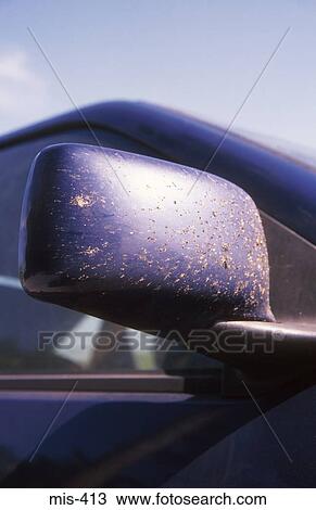 Dead Flies on Car Wing Mirror UK View Large Photo Image Stock Image - Dead Flies on Car Wing Mirror UK. Fotosearch