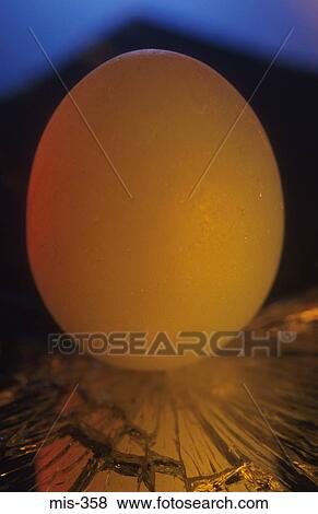 Egg on Cracked Mirror View Large Photo Image Stock Photo - Egg on Cracked Mirror. Fotosearch