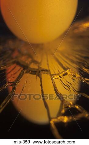 Egg on Cracked Mirror View Large Photo Image Stock Photo - Egg on Cracked Mirror. Fotosearch