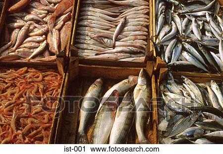 Fish on Market Stall Instanbul Turkey View Large Photo Image Stock Image - Fish on Market Stall Instanbul Turkey. Fotosearch