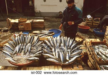 Fish on Market Stall Instanbul Turkey View Large Photo Image Stock Image - Fish on Market Stall Instanbul Turkey. Fotosearch