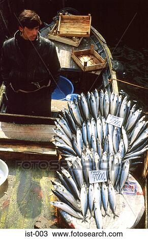 Fish on Market Stall Instanbul Turkey View Large Photo Image Stock Image - Fish on Market Stall Instanbul Turkey. Fotosearch