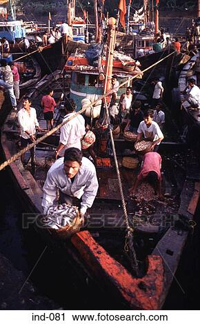 Fishing Boat at Quay Bombay Dock India Asia View Large Photo Image Stock Image - Fishing Boat at Quay Bombay Dock India Asia. Fotosearch