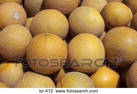 Galia Melons on Market Stall Israel View Large Photo Image Stock Image - Galia Melons on Market Stall Israel. Fotosearch