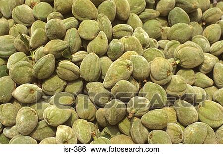 Stock Photograph - Heap of Almond Fruit Israel. Fotosearch