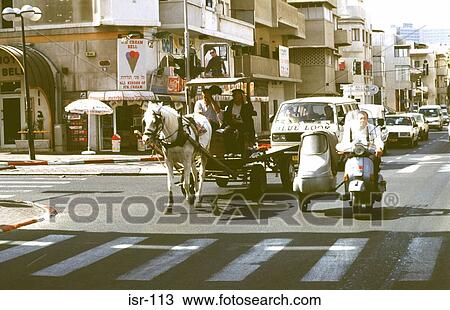 Horse Drawn Cart on Road Israel View Large Photo Image Stock Image - Horse Drawn Cart on Road Israel. Fotosearch