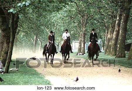Horses Galloping Rotten Row Hyde Park London UK View Large Photo Image Stock Image - Horses Galloping Rotten Row Hyde Park London UK. Fotosearch