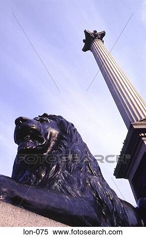 Lion Statue Nelson's Column Trafalgar Square London View Large Photo Image Stock Photography - Lion Statue Nelson's Column Trafalgar Square London. Fotosearch