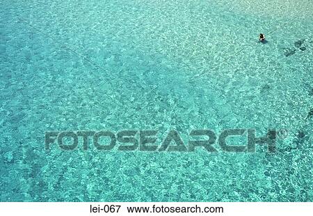 Lone Snorkeller in Sea View Large Photo Image Stock Photo - Lone Snorkeller in Sea. Fotosearch