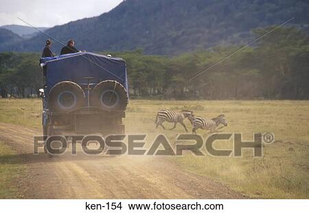Lorry on Safari Lake Nakuru National Reserve Kenya View Large Photo Image Picture - Lorry on Safari Lake Nakuru National Reserve Kenya. Fotosearch