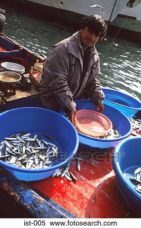 Man on Boat Sorting Fish for Market Istanbul Turkey View Large Photo Image Stock Photography - Man on Boat Sorting Fish for Market Istanbul Turkey. Fotosearch