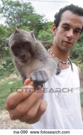 Man with Monkey Bali View Large Photo Image Stock Photo - Man with Monkey Bali. Fotosearch