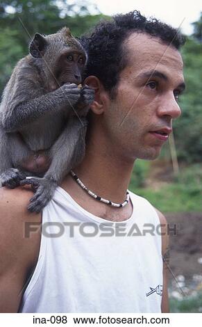 Man with Monkey on His Shoulder Bali View Large Photo Image Stock Photo - Man with Monkey on His Shoulder Bali. Fotosearch