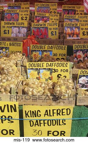 Market Stall Selling FLowers View Large Photo Image Stock Photo - Market Stall Selling FLowers. Fotosearch