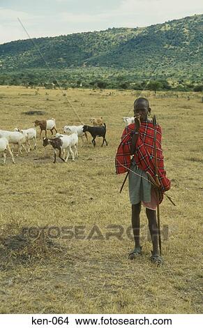 Masai Goat Herder Kenya View Large Photo Image Picture - Masai Goat Herder Kenya. Fotosearch