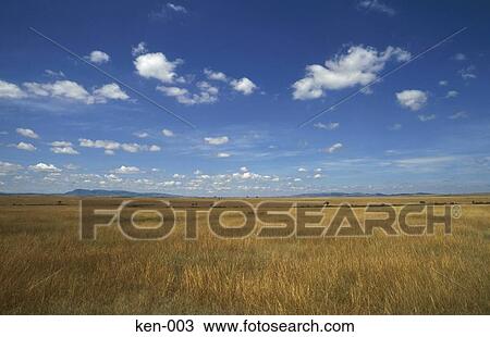 Masai Mara National Reserve Kenya View Large Photo Image Stock Image - Masai Mara National Reserve Kenya. Fotosearch