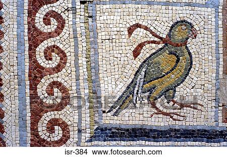 Mosaic of Parrot at Israel Museum View Large Photo Image Picture - Mosaic of Parrot at Israel Museum. Fotosearch