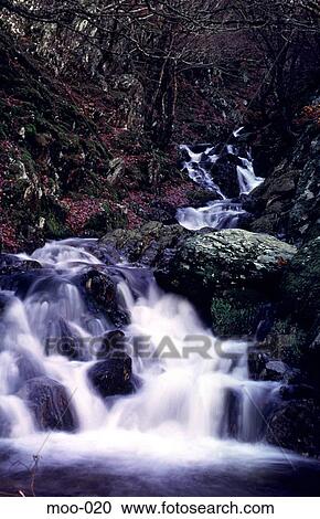 Mountain Stream Wales UK View Large Photo Image Stock Image - Mountain Stream Wales UK. Fotosearch