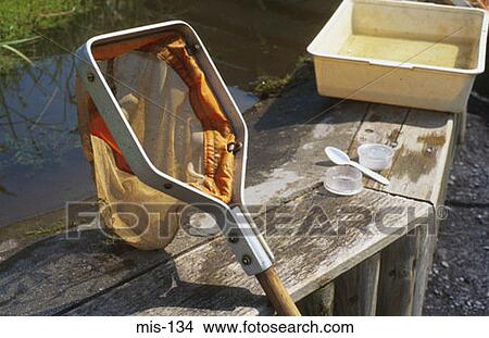 Picture - Net by Pond. Fotosearch