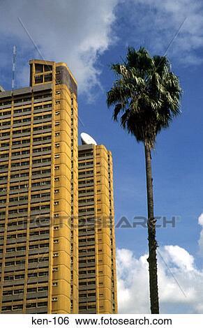 Stock Photograph - Office Block and Palm Tree Nairobi Kenya. Fotosearch