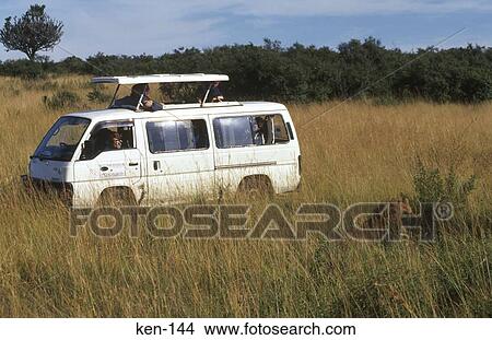 Picture - On Safari Masai Mara National Reserve Kenya. Fotosearch