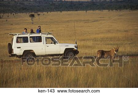 On Safari Masai Mara National Reserve Kenya View Large Photo Image Stock Image - On Safari Masai Mara National Reserve Kenya. Fotosearch