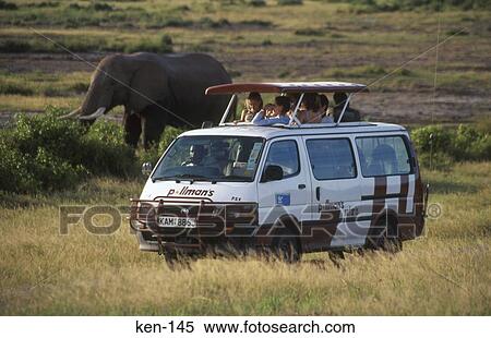 On Safari Masai Mara National Reserve Kenya View Large Photo Image Stock Photography - On Safari Masai Mara National Reserve Kenya. Fotosearch