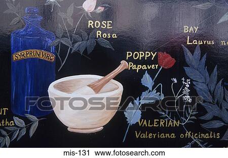 Stock Image - Painted Apothecarys Sign UK. Fotosearch