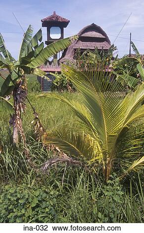 Palm Trees and Wooden Building Seminyak Bali View Large Photo Image Stock Image - Palm Trees and Wooden Building Seminyak Bali. Fotosearch