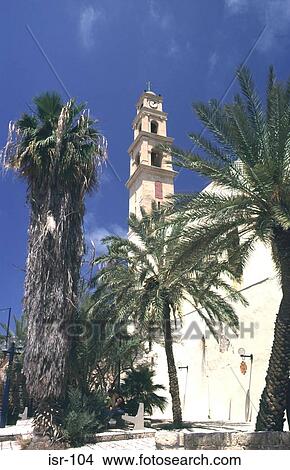 Palm Trees outside St Peters Monastery Jaffa Israel View Large Photo Image Picture - Palm Trees outside St Peters Monastery Jaffa Israel. Fotosearch