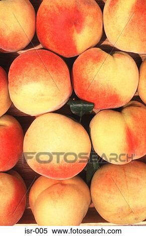 Peaches View Large Photo Image Stock Photography - Peaches. Fotosearch