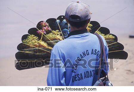 Person with Fan Kuta Beach Bali View Large Photo Image Stock Image - Person with Fan Kuta Beach Bali. Fotosearch