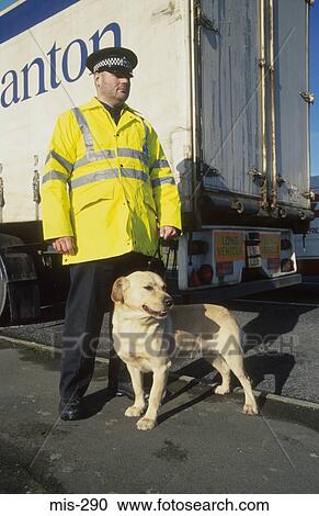 Police and Sniffer Dog UK View Large Photo Image Stock Image - Police and Sniffer Dog UK. Fotosearch