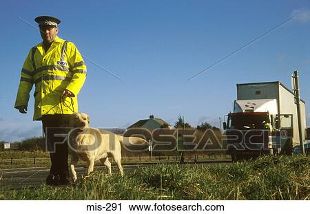 Police and Sniffer Dog UK View Large Photo Image Stock Image - Police and Sniffer Dog UK. Fotosearch